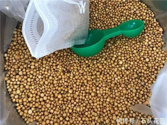 元缓释肥|会养花的人,在秋天必备“4种”肥料,适用所有花卉