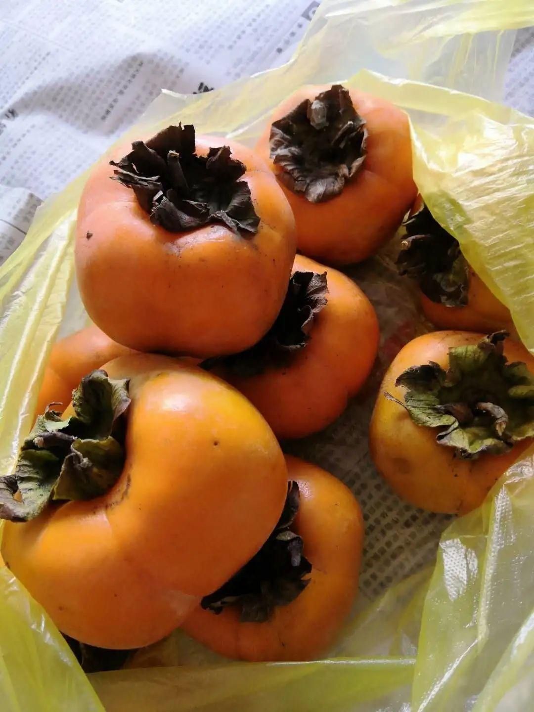 人间烟火|寻味黄山，我喜欢这真切的人间烟火！