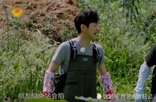  打码|《向往4》挖藕被曝做戏，救护车就停在旁边？节目组来不及打码！