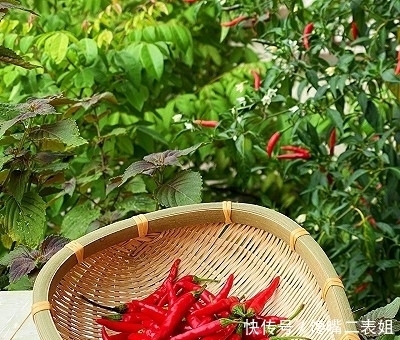 不欢|无辣不欢!万能辣椒酱 一学就会!