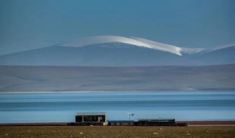  深圳|可可西里的守护者！深圳男子用镜头记录荒原上的藏羚羊