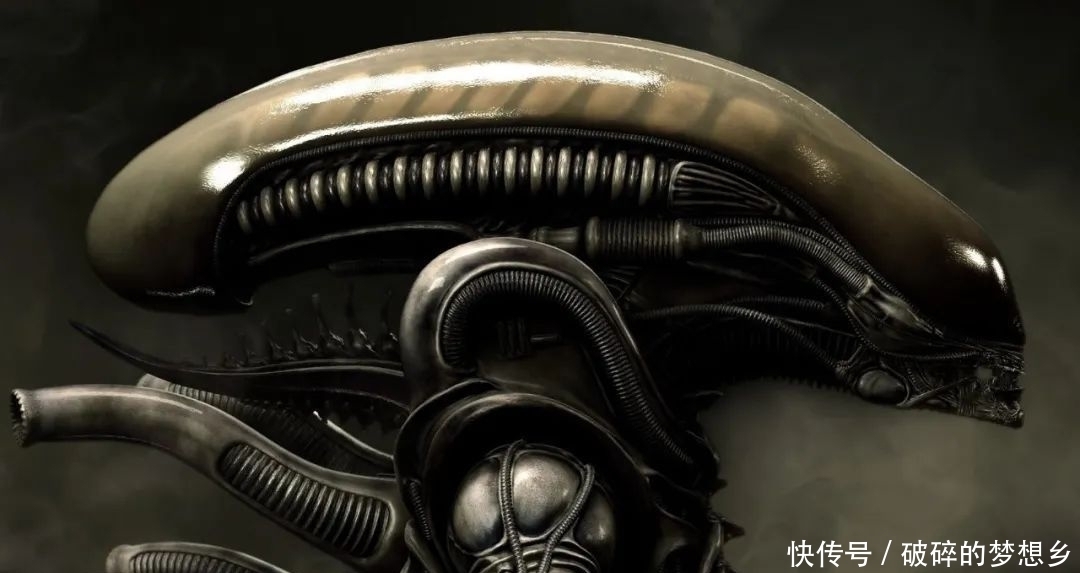 电影|这是一部你永远也别想看到的电影