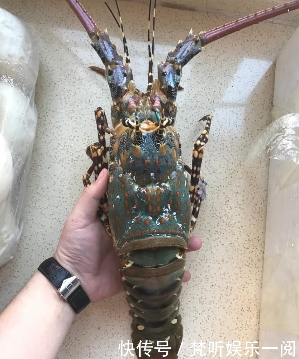 记忆|【复苏】盘点那些年吃过的记忆