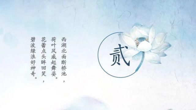  淡雅|淡雅荷花中国文化传统国学PPT模板