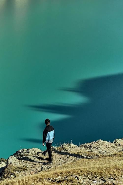  生活|这档被埋没的神仙综艺，值一个热搜！董卿插花比主持更美