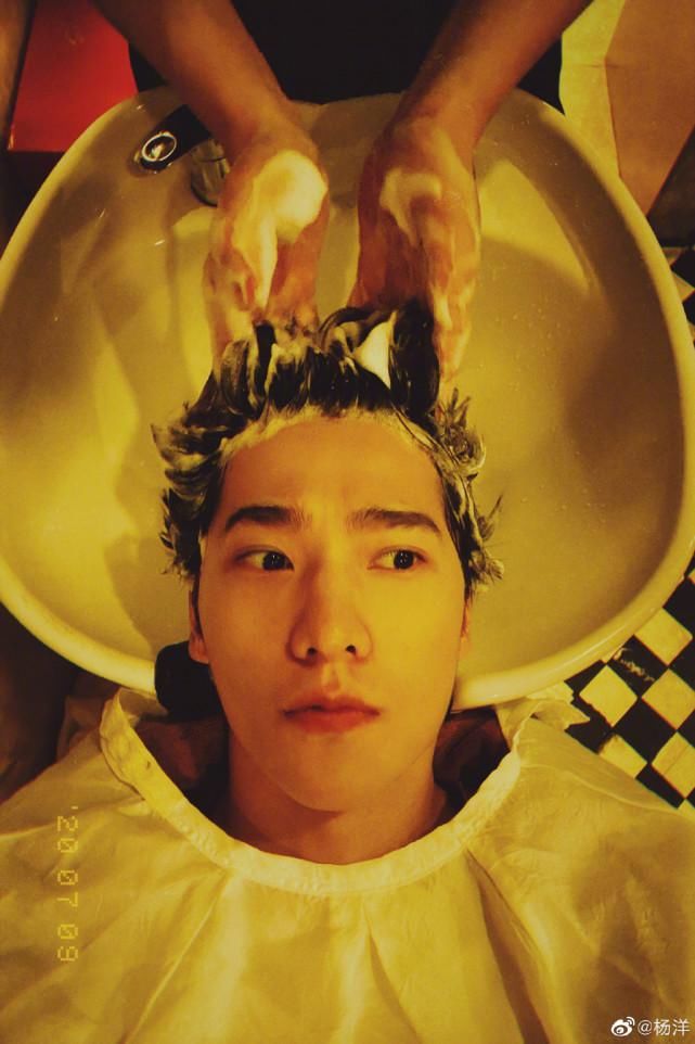 蔡徐坤|郑爽、蔡徐坤、杨洋、Angelababy、周震南