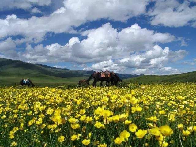  唯一|中国唯一以黄河命名的县城，河水在此倒流800里，夏天还要穿棉袄