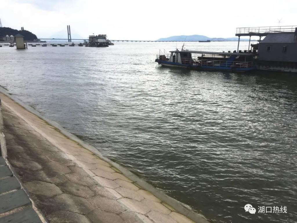  地方|多图直击！湖口西门水位退至闸门以下，这些地方最新水位在这！