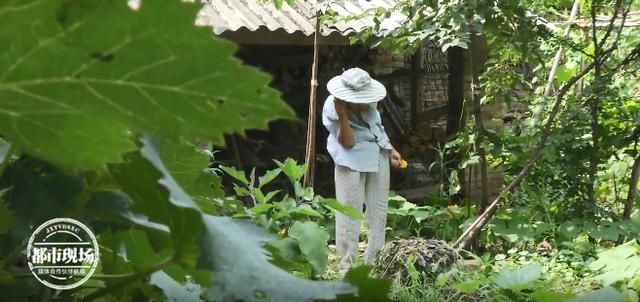  身亡|男子街头被撞身亡，妻子寻凶近10年，只为一个真相