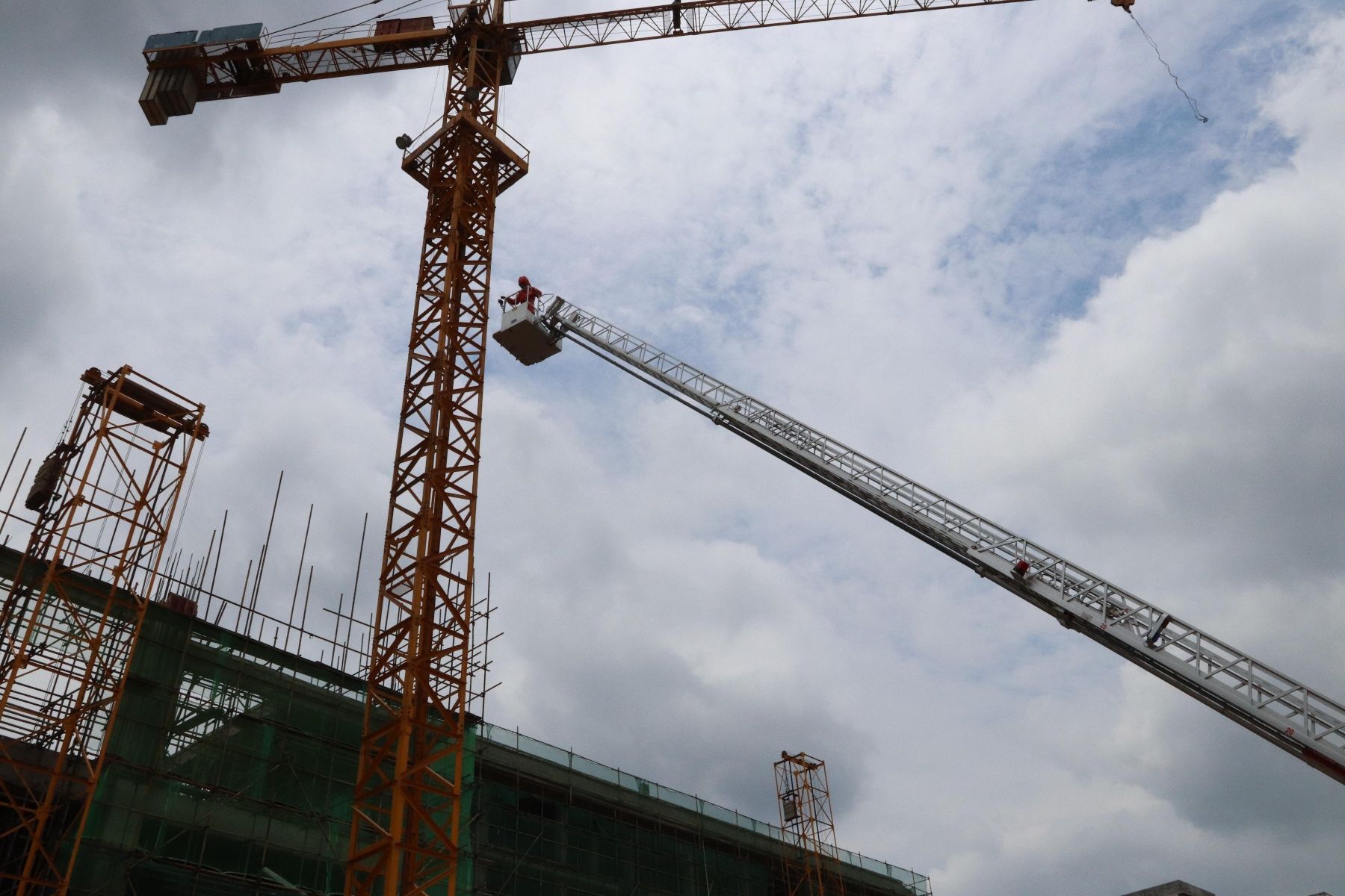  摘除马蜂窝|上思马蜂窝频频扰民 消防指战员迅速为民解忧