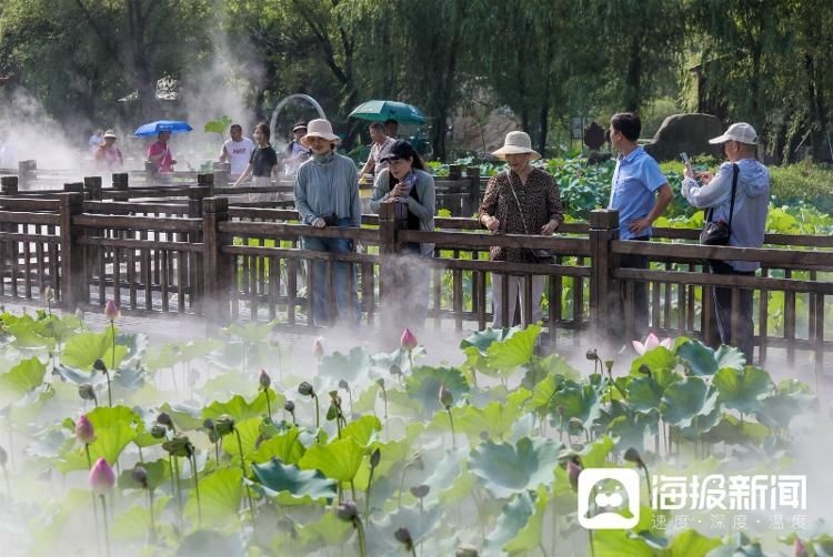 视觉山东丨大众视觉影像库一周图片精选（7月31日-8月6日）