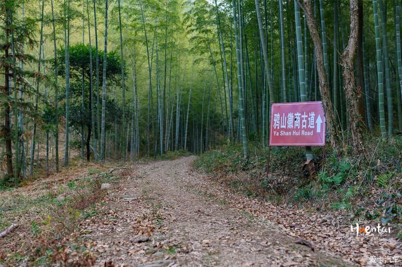  郎溪|自驾郎溪 原汁原味的生活状态