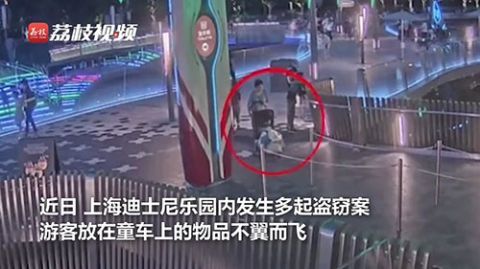 上海|阿姨办上海迪士尼年卡多次入园盗窃:称是个人爱好,已被刑拘