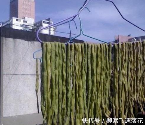 能放|此菜只在秋天做,做一次能放一年,和肉炒最美味,一次一盘不够吃