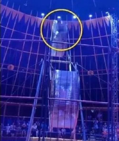  表演|杂技演员表演不慎死亡，家属不接受50万赔偿，只因有女儿要抚养