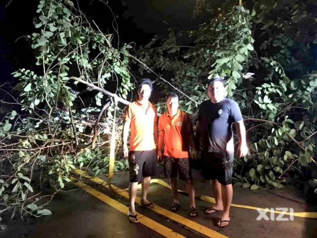  越野车|好紧要！淡水一棵大树凌晨被吹倒，这群开越野车的人去做了这件事....