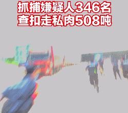 走私|现场直击“2020净海-40”打击走私偷渡专项行动
