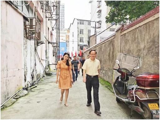  重点|欧湘云督办协商重点提案办理工作