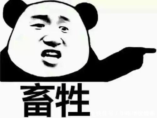 不满|一男子不满女友谈过恋爱,强迫女友与狗发生关系?最终获刑7年