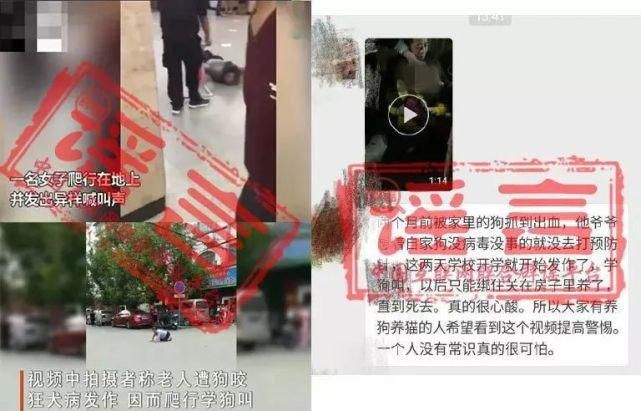 辟谣|【辟谣】“全靠编”的狂犬病谣言为何常“死灰复燃”?