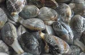 今日|今日开海!这84种海鲜,你都认识吗?你真的会吃海鲜吗?