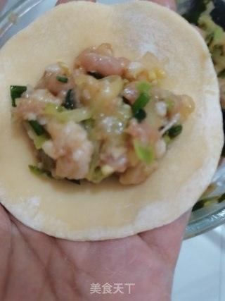 西葫芦|西葫芦肉馅儿饺子