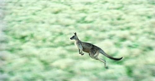  还要|预防肾结石，不仅要多喝水，还要多做这些事