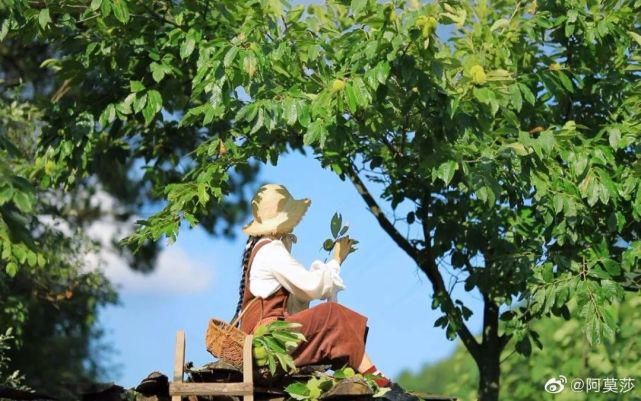  李子|她用3年时间爆改老宅，把荒地变花海：原来除了李子柒，我们还有另一种田园牧歌