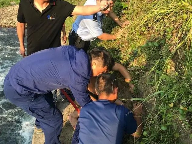  真相|岸边的涵洞伸出一只小手，真相令人后怕
