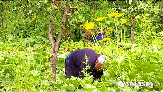  小康生活|【走向我们的小康生活】办起特色农家乐，带领乡亲奔小康