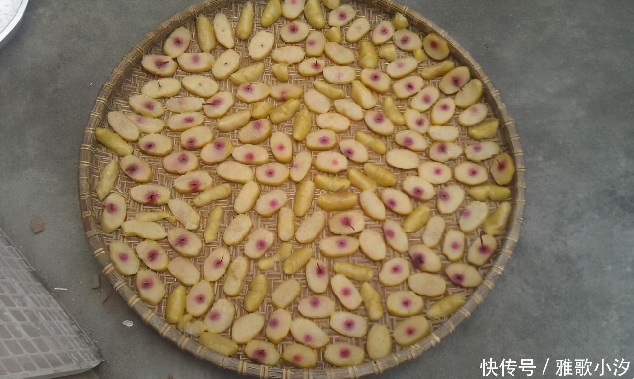 南方人|东北大娘囤300斤大白菜,南方人却喜欢囤这些!