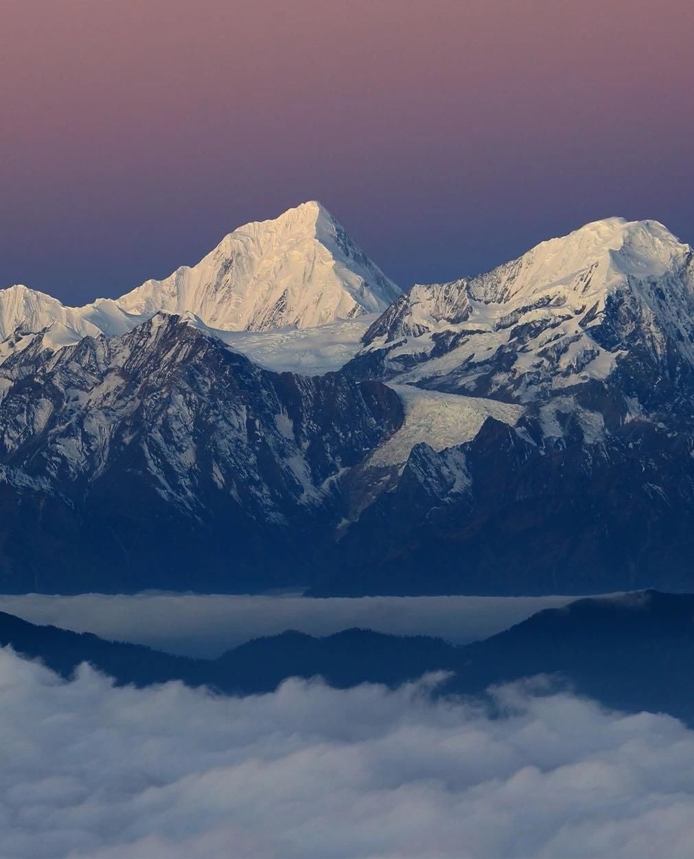  瞒不住|完了！雅安遍地大熊猫的事瞒不住了