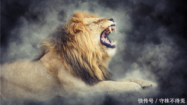 看过|24个冷知识:真实存在于世界,或许看过多遍都不大相信