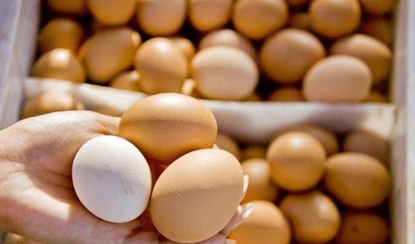 超市|去超市买鸡蛋，选白壳还是红壳好？超市员工说漏嘴，别再买错了