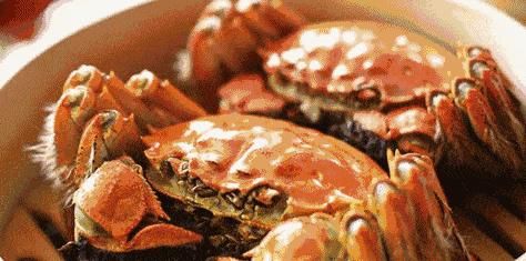 螃蟹|又到了“金九银十”的螃蟹季,每年秋天都在等这一口黄