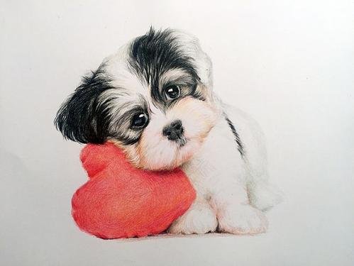  陌生人|长时间不遛狗，会造成什么后果？