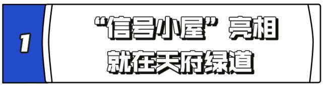  综艺|哦豁！成都人的情感生活，被杨超越和戚薇“盯”上了！