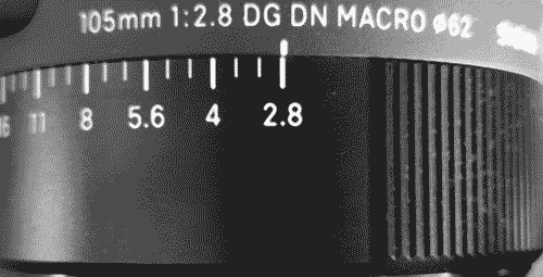  MACRO|“经典”的长焦微距 适马105mm F2.8 DG DN MACRO | Art评测