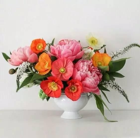  插花器皿|关于插花，这一篇足够了