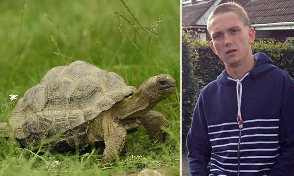 艾萨克|匪夷所思，奇葩游客在动物园里“顺手牵羊”