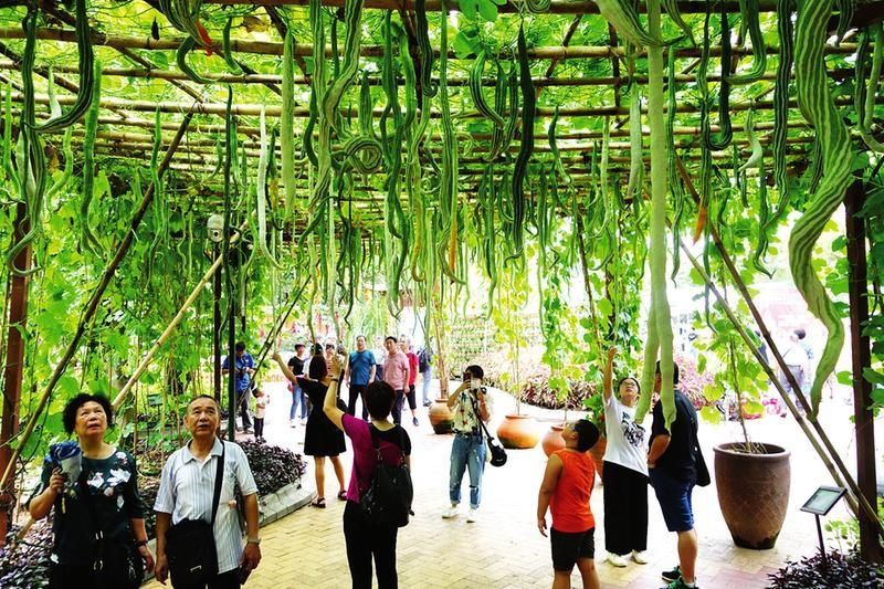  中年|10月8日焦点图：长假最后一天 你在回家路上吗