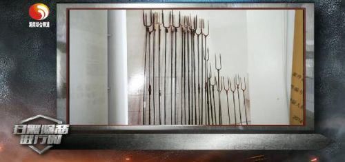 除恶|《扫黑除恶进行时》明晚播出“砂霸团伙终正法”