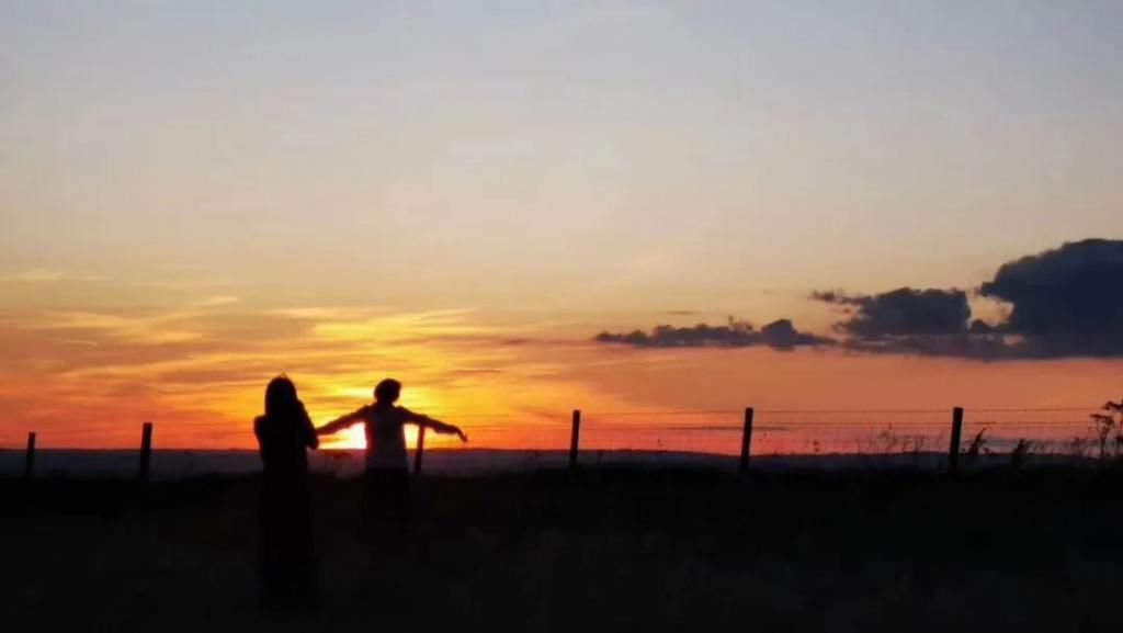  花路|治愈系综艺同款房车游，约你一起走花路！