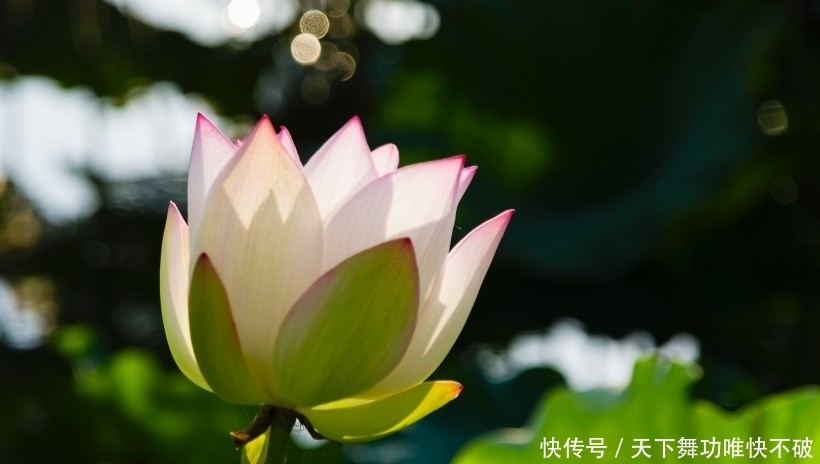 朋友|10月开始,时来运转,财运亨通,事业上升的四大生肖