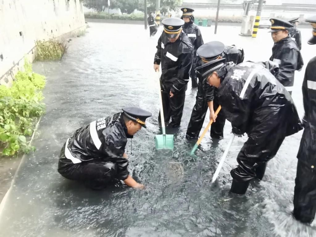  立交|提高“抗雨指数”，无锡一批道路管网改造年内启动