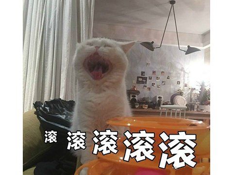  游戏|国产游戏多没下限？利用Steam中文搜索瞎搞，还敢碰瓷任天堂！