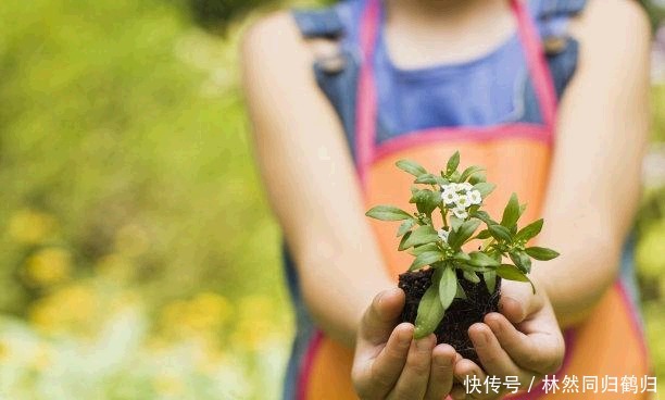 同学会|宝妈带5岁女儿参加同学会,结束后发现被踢出群,网友:咎由自取