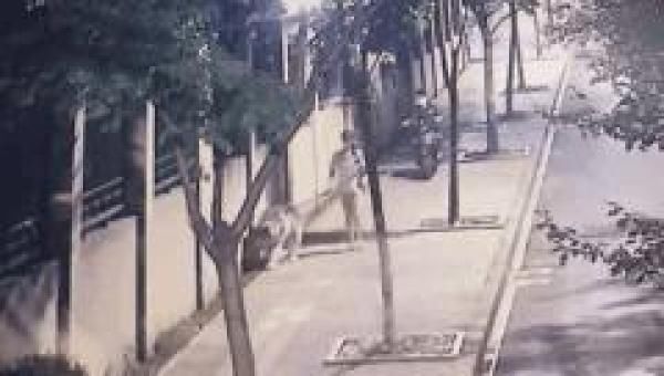 电瓶车|姑娘穿热裤出门遛狗，电瓶车开过，尴尬的一幕发生了！