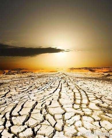  不想|澳大利亚：我真不想和美国玩下去！害人害己！