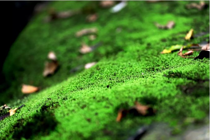 汉江|从0℃到100℃，感受汉江之源的温度…